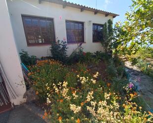 Garden of House or chalet for sale in Fasnia  with Terrace and Swimming Pool