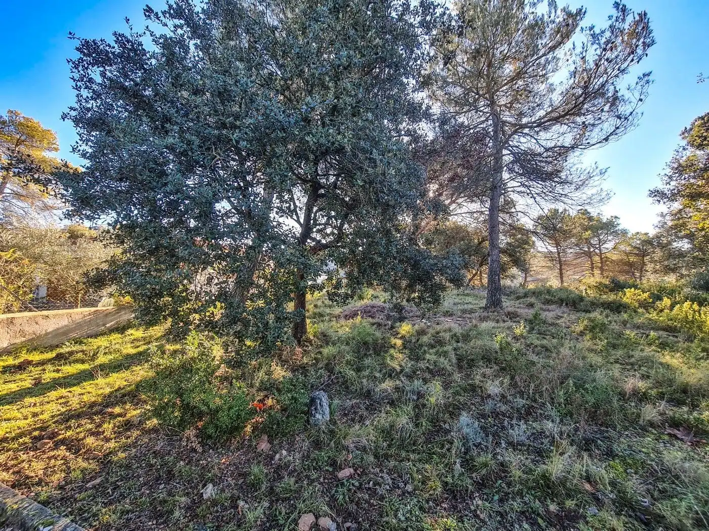 Wohnbaugrundstück zum Verkauf in Talamanca, imagen 3