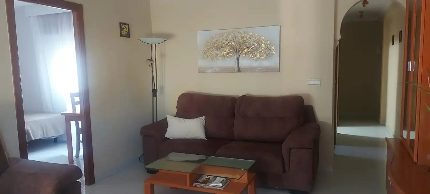 Sala de estar de Piso de alquiler en Málaga con Amueblado, Lavadora y Microondas