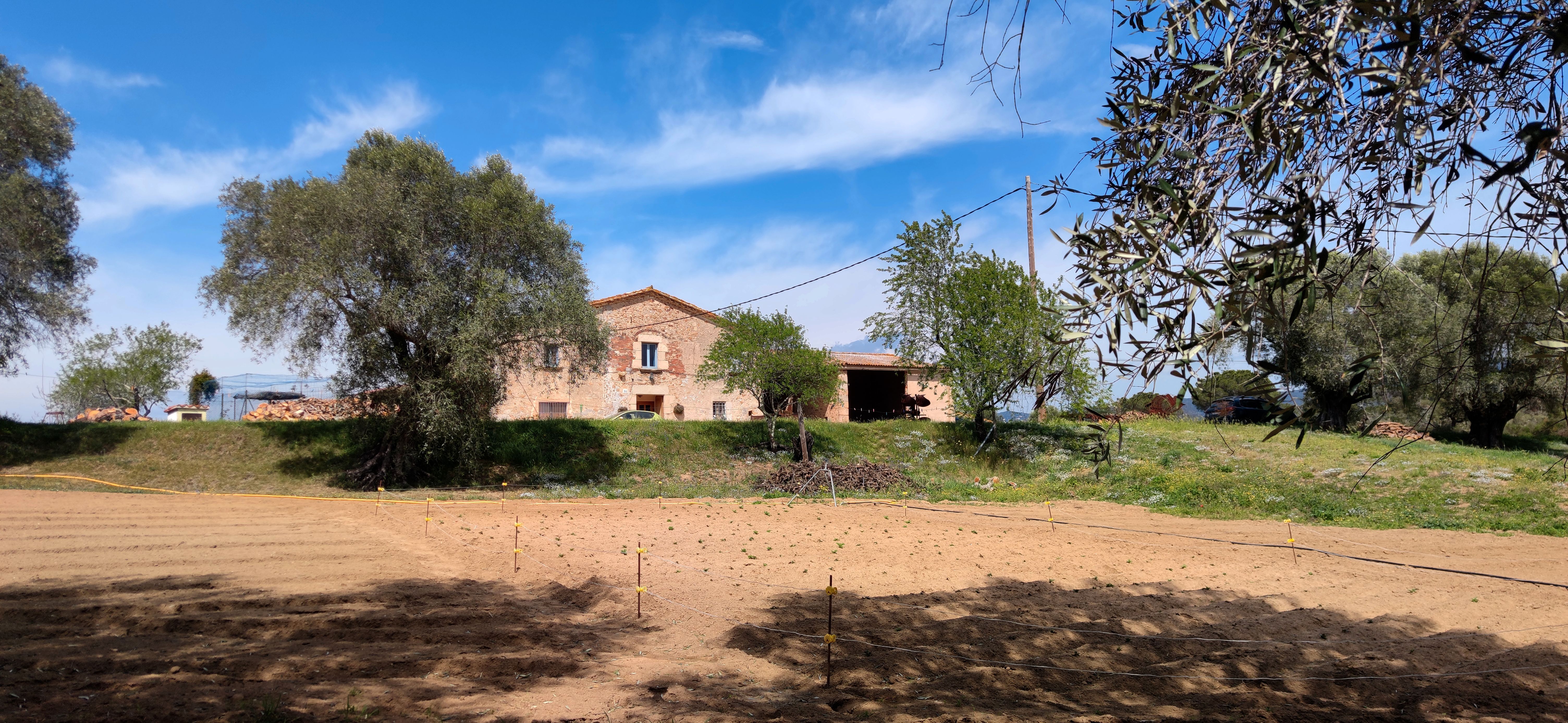 Vista exterior de Finca rústica en venda en Santa Cristina d'Aro