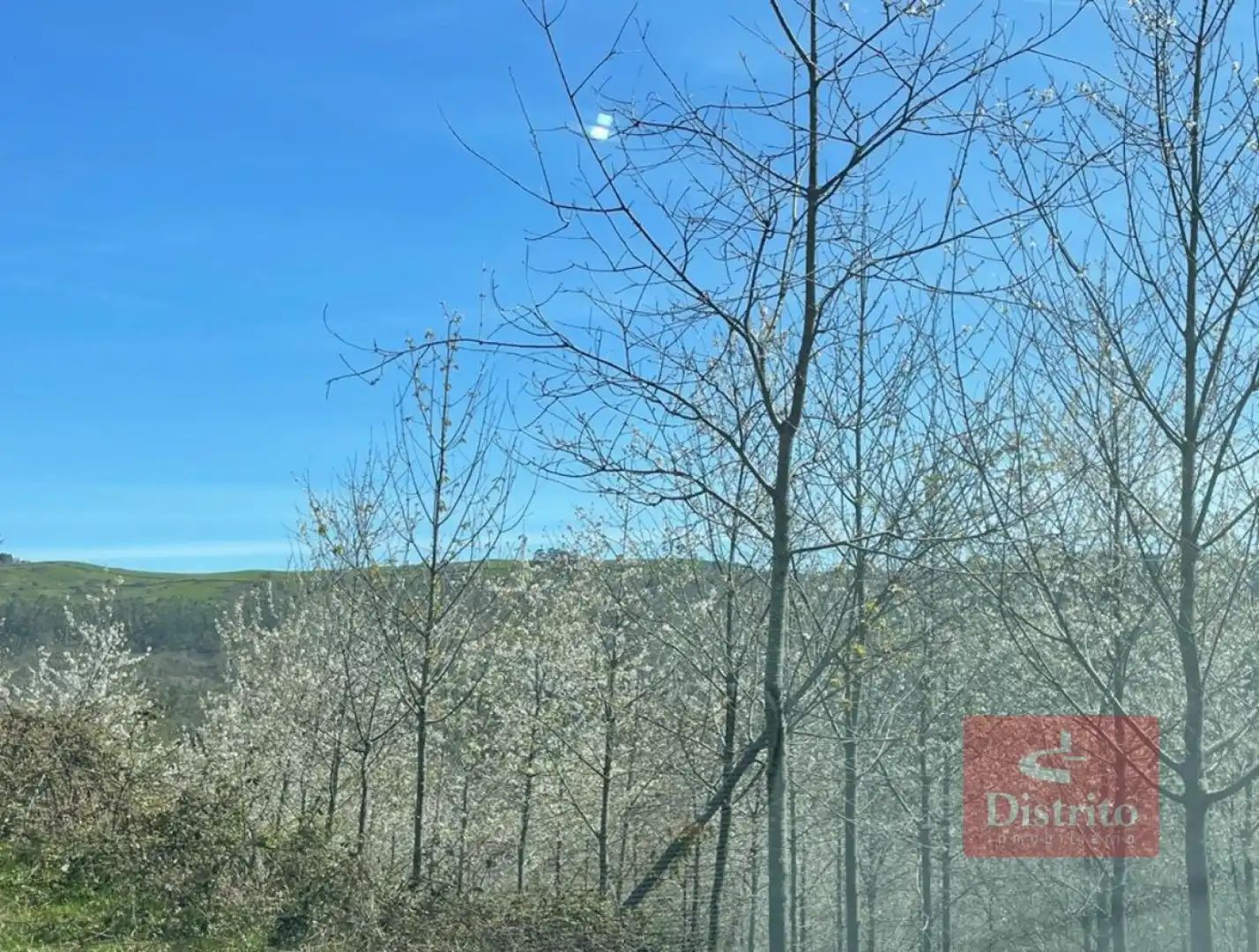 Terreni e lotti in vendita a Valdáliga - barrio la herrería, imagen 11