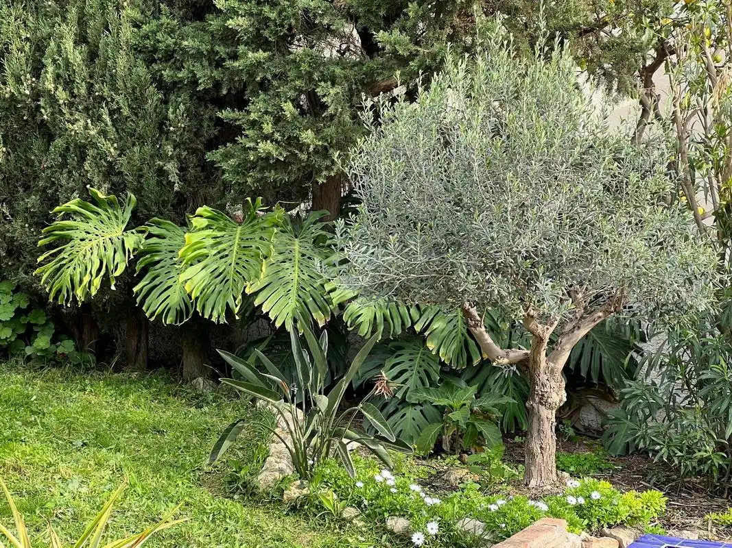 Casa amb piscina en venda a Avenida  del Mediterraneo, imagen 5