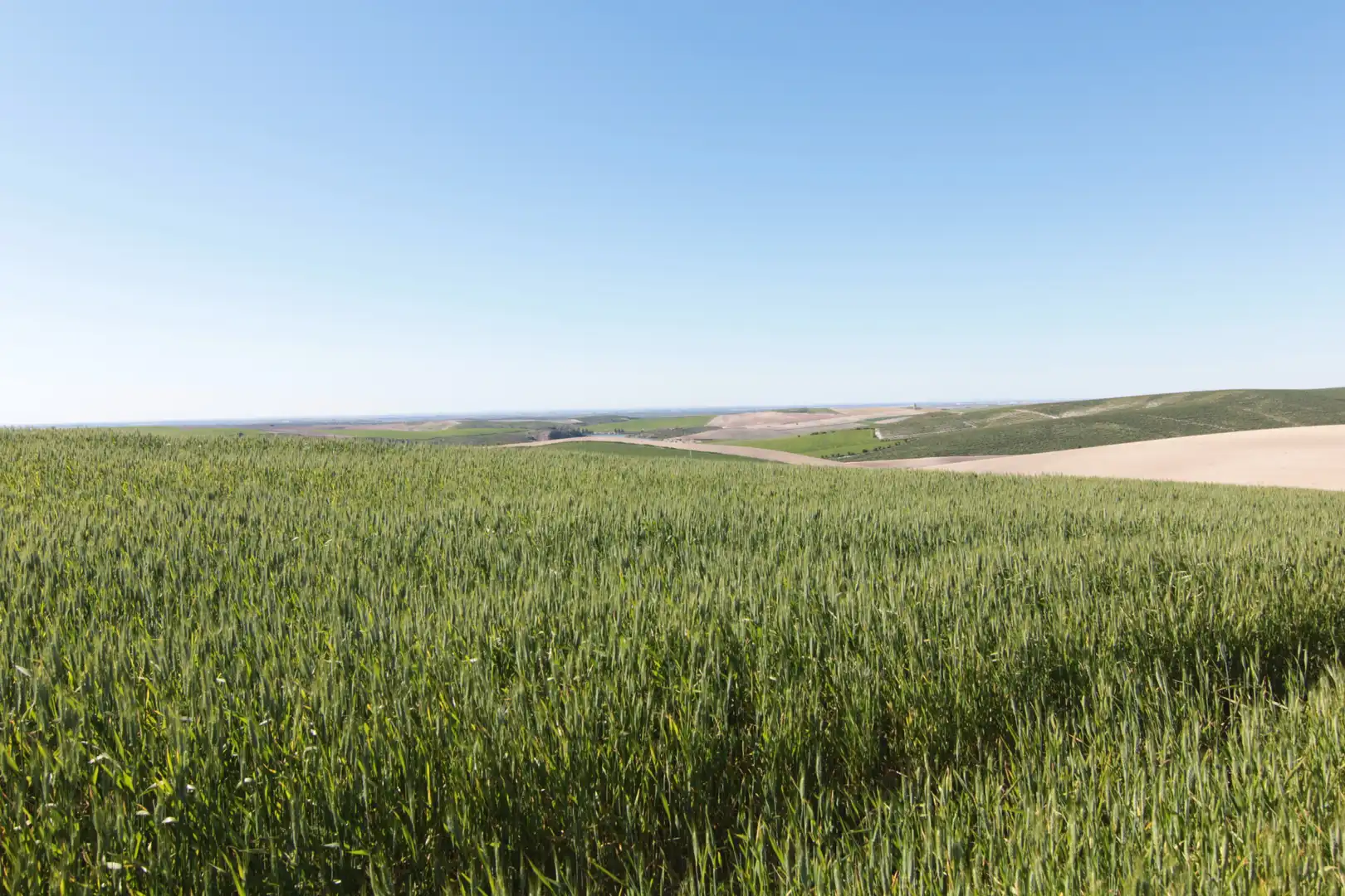 Terreno en venta en Utrera