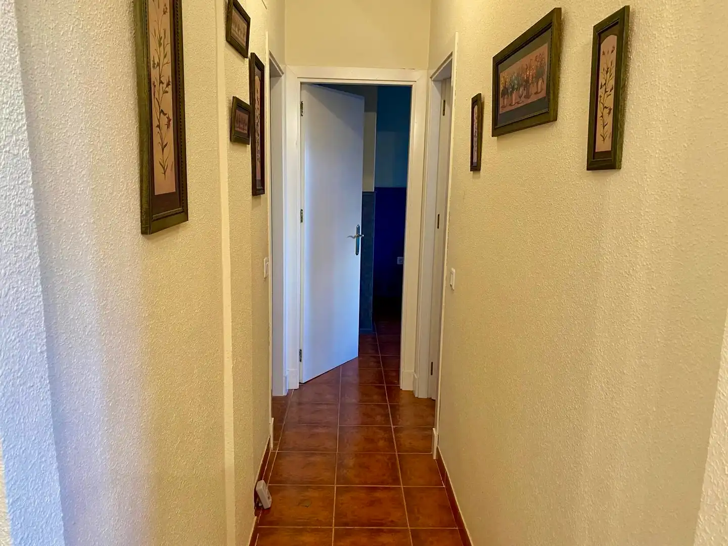 Flat with pool for sale in Atlanterra, imagen 15