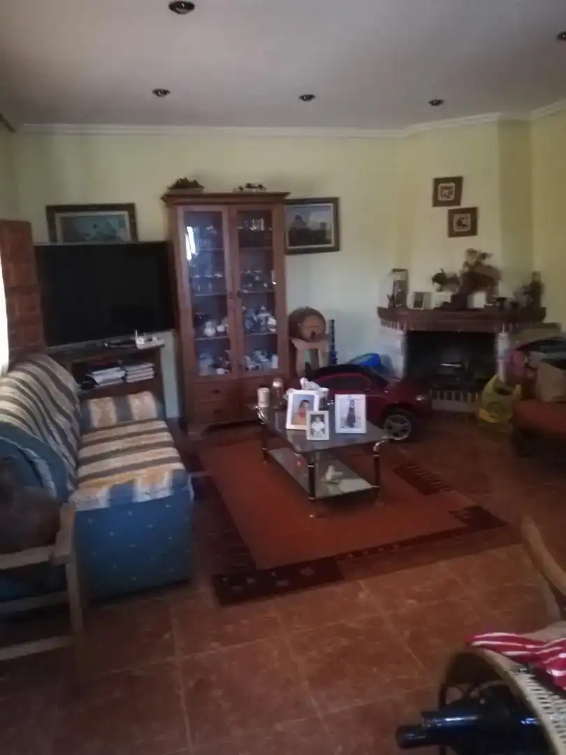 Sala d'estar de Casa o xalet en venda en Elche / Elx amb Aire condicionat i Piscina
