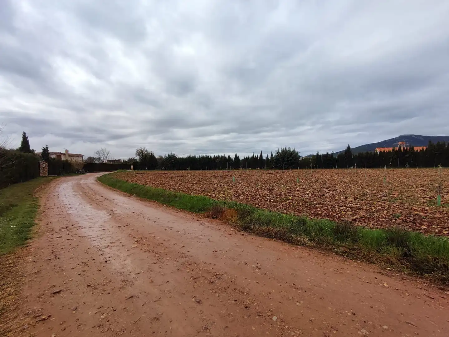 Terreno rustico in vendita a Villarrubia de los Ojos, imagen 2