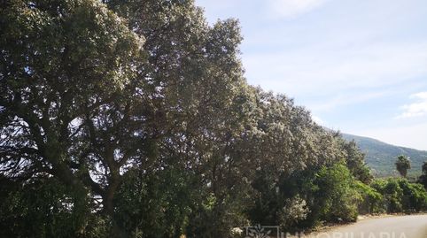 Foto 5 de Casa o chalet en venta en Partida Malara, Centro, Alhaurín El Grande