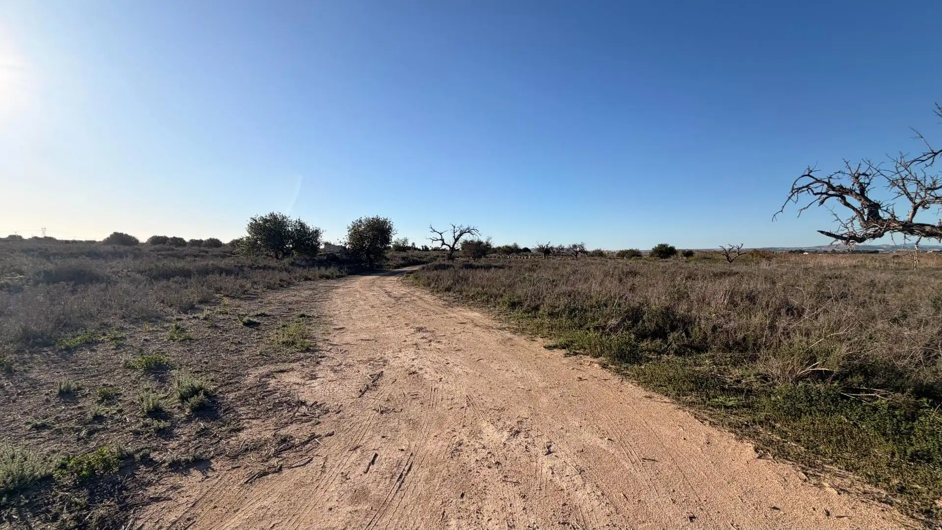 Terreno residencial en venta en La Marina, imagen 13