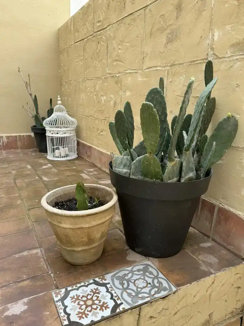 Terrasse von Wohnung zum Verkauf in  Palma de Mallorca