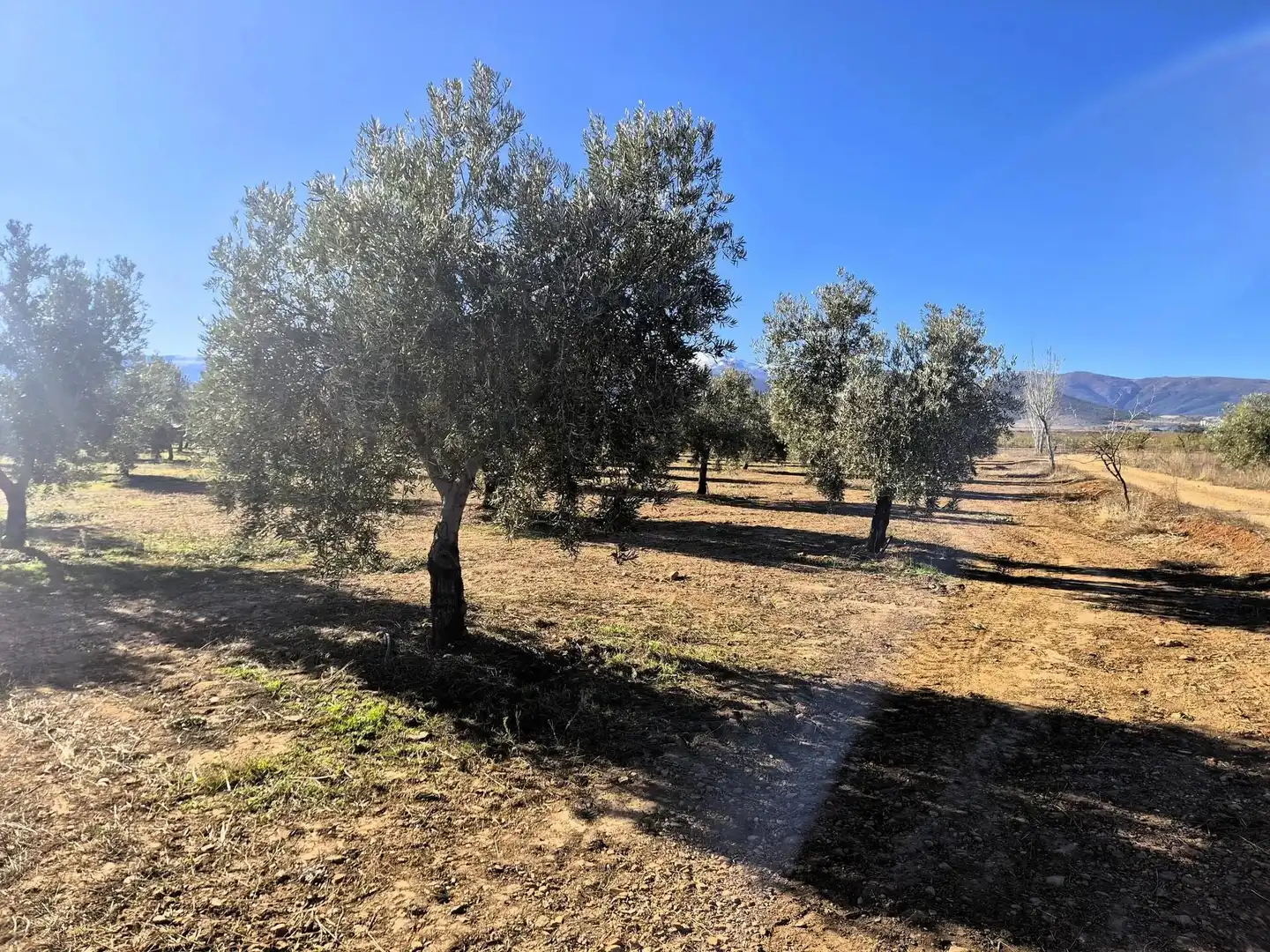 Terreno rústico en venta en Lanteira, imagen 36