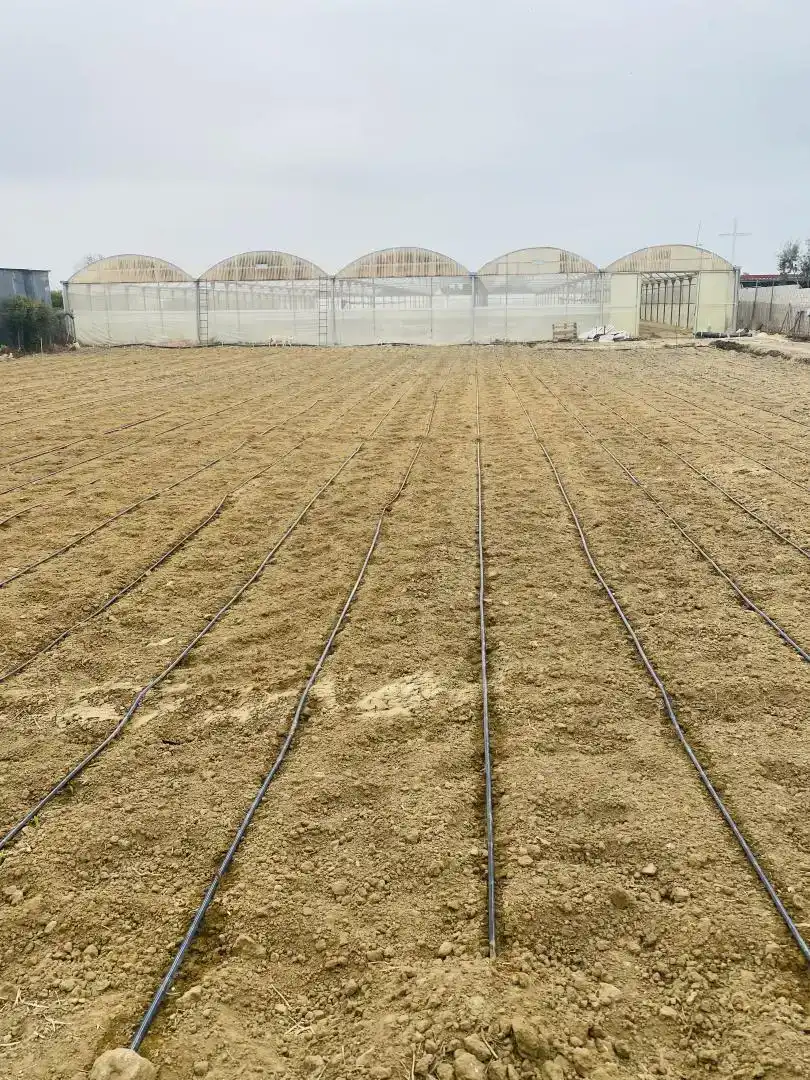 Jardí de Finca rústica en venda en Ctra Jerez - Ctra del Puerto