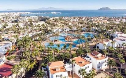 Vista exterior de Apartament en venda en La Oliva amb Terrassa i Piscina comunitària