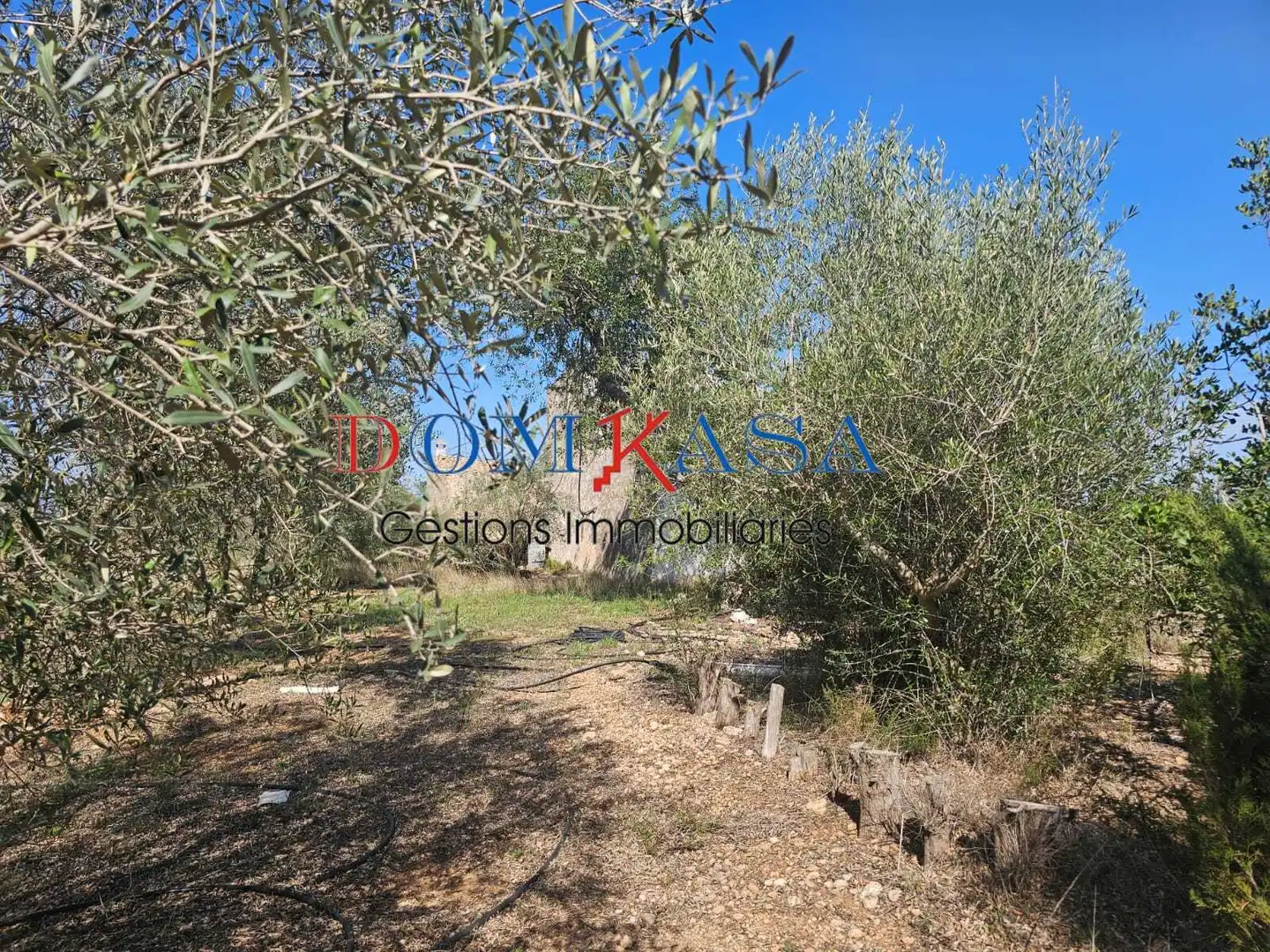 Rural land for sale in Roquetes, imagen 17
