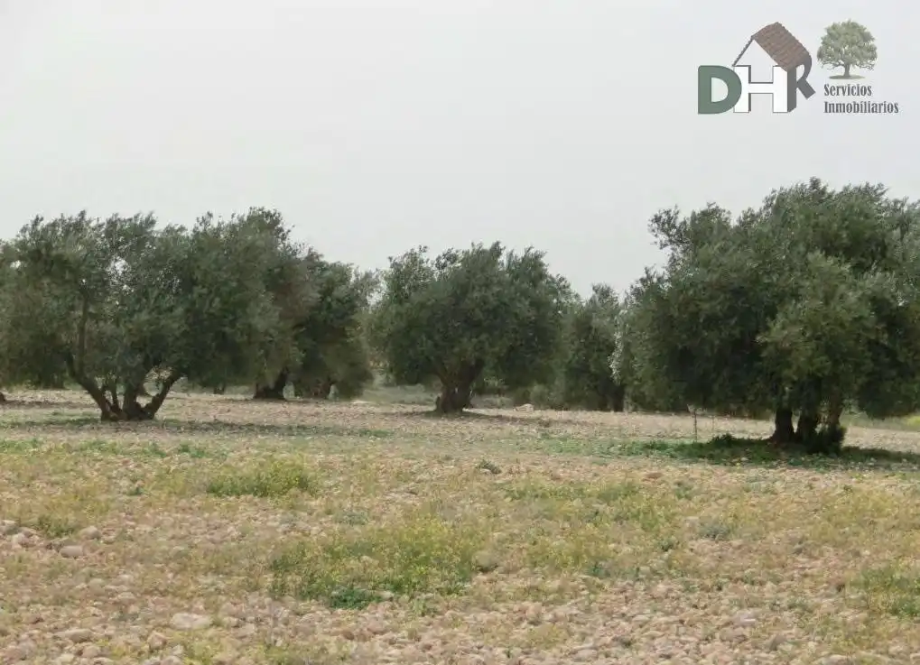 Terrenys i solars en venda a Los Cigarrales - La Bastida, imagen 9