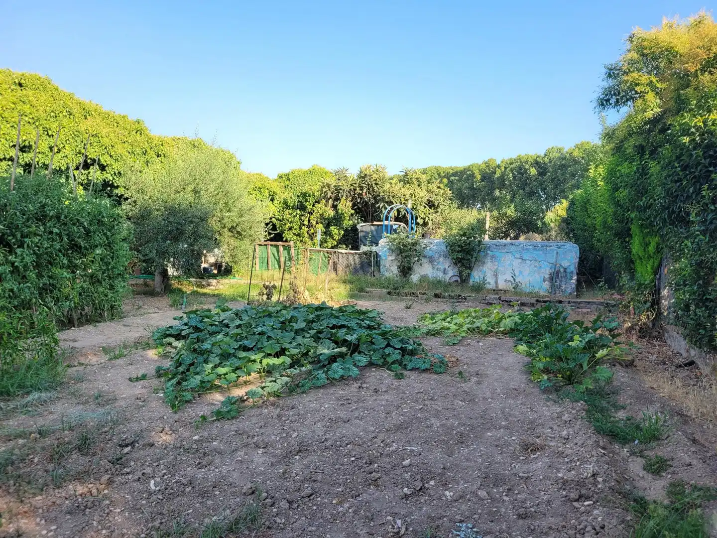Terrenos y solares en venta en de Codis, imagen 6