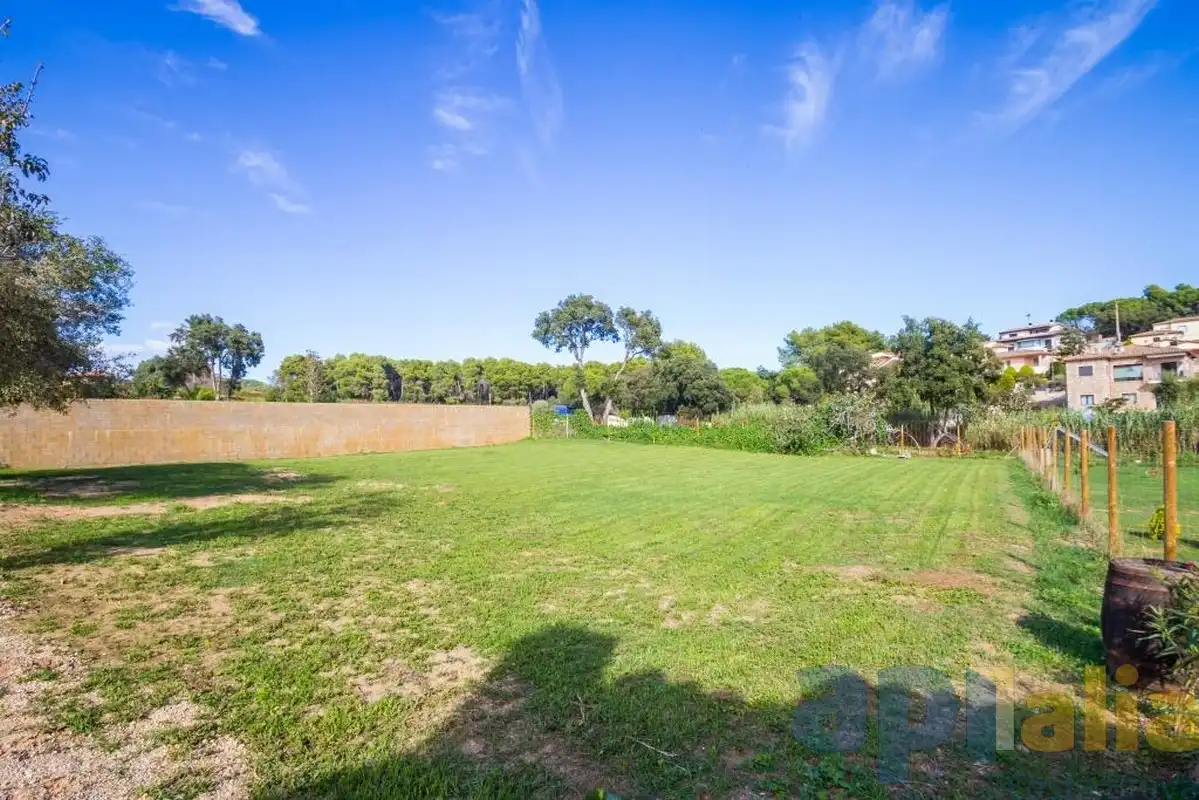 Finca rústica en venta en Carrer Marieta, Puig Ses Forques - Torre Colomina