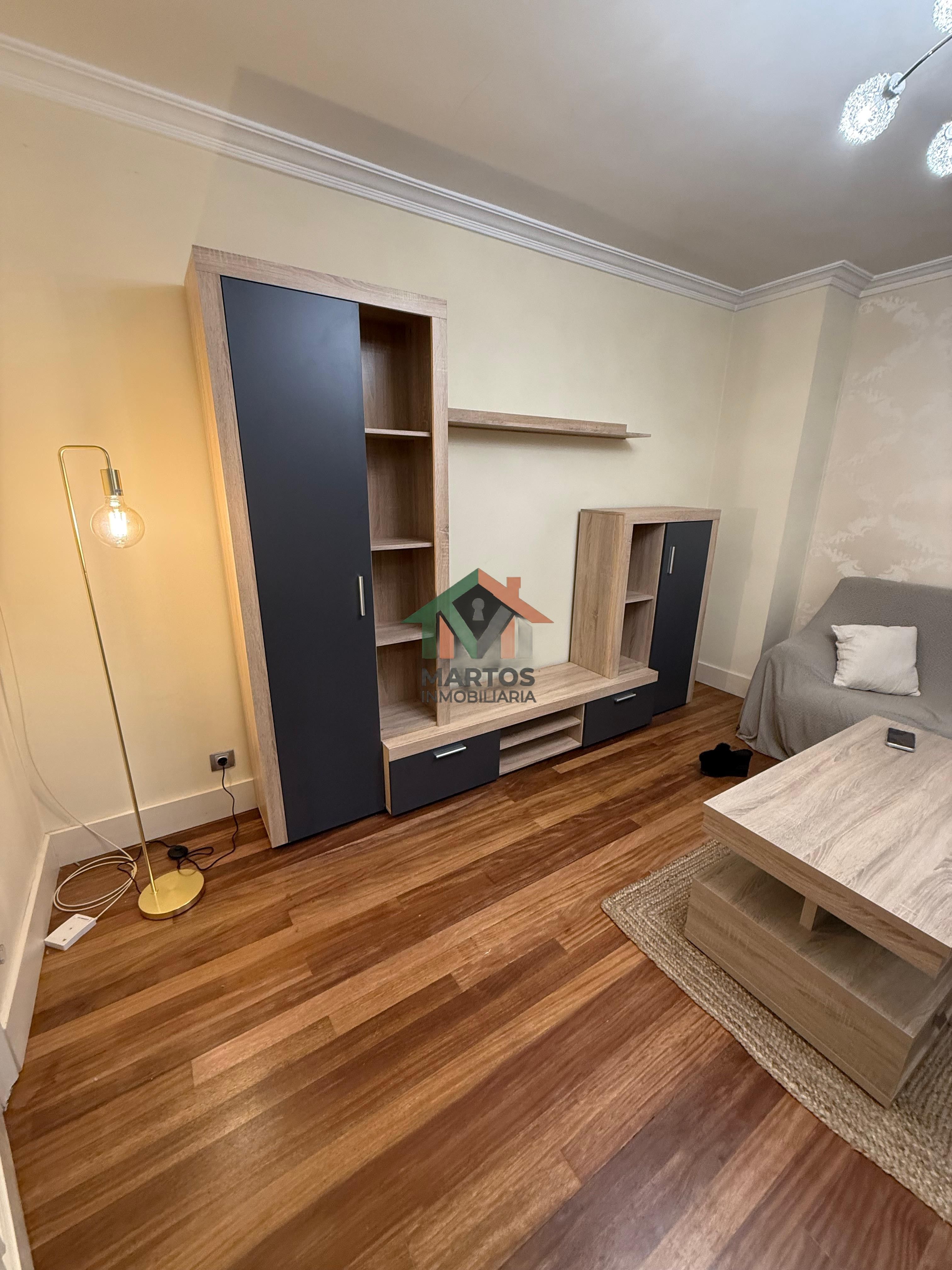 Sala d'estar de Pis de lloguer en León Capital  amb Calefacció i Moblat