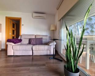 Sala d'estar de Pis de lloguer en Sabadell amb Aire condicionat, Calefacció i Parquet