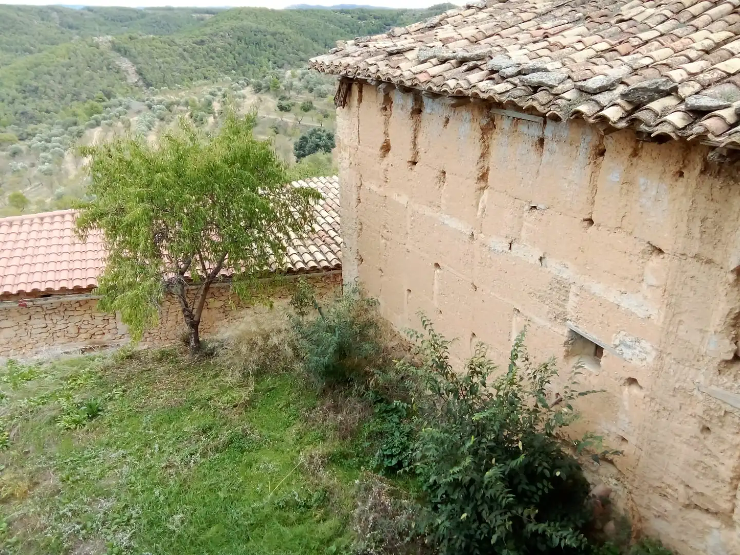 Jardín de Casa o chalet en venta en Fórnoles con Jardín privado