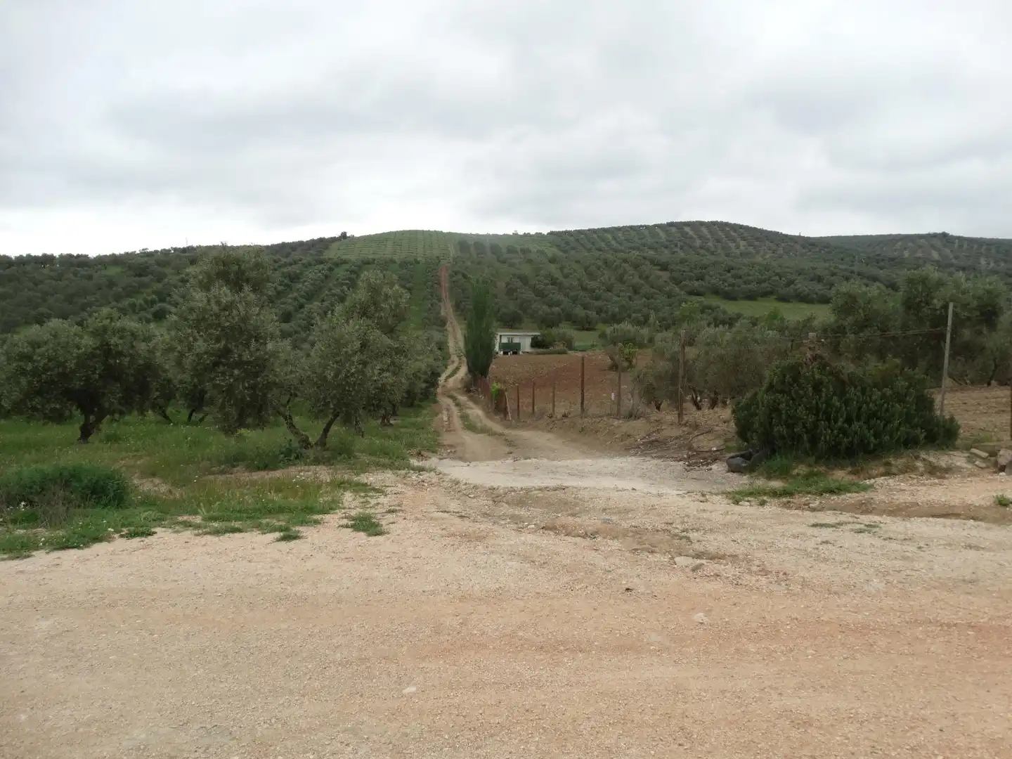 Lands and plots for sale in Calle CERRO LIMON, imagen 19
