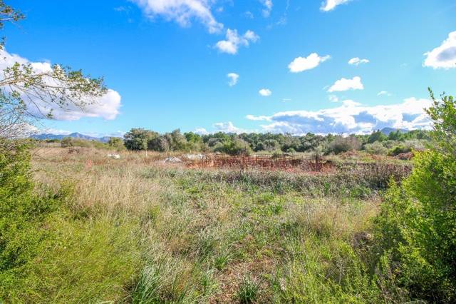 Terreno en Venta en Pollença Poble