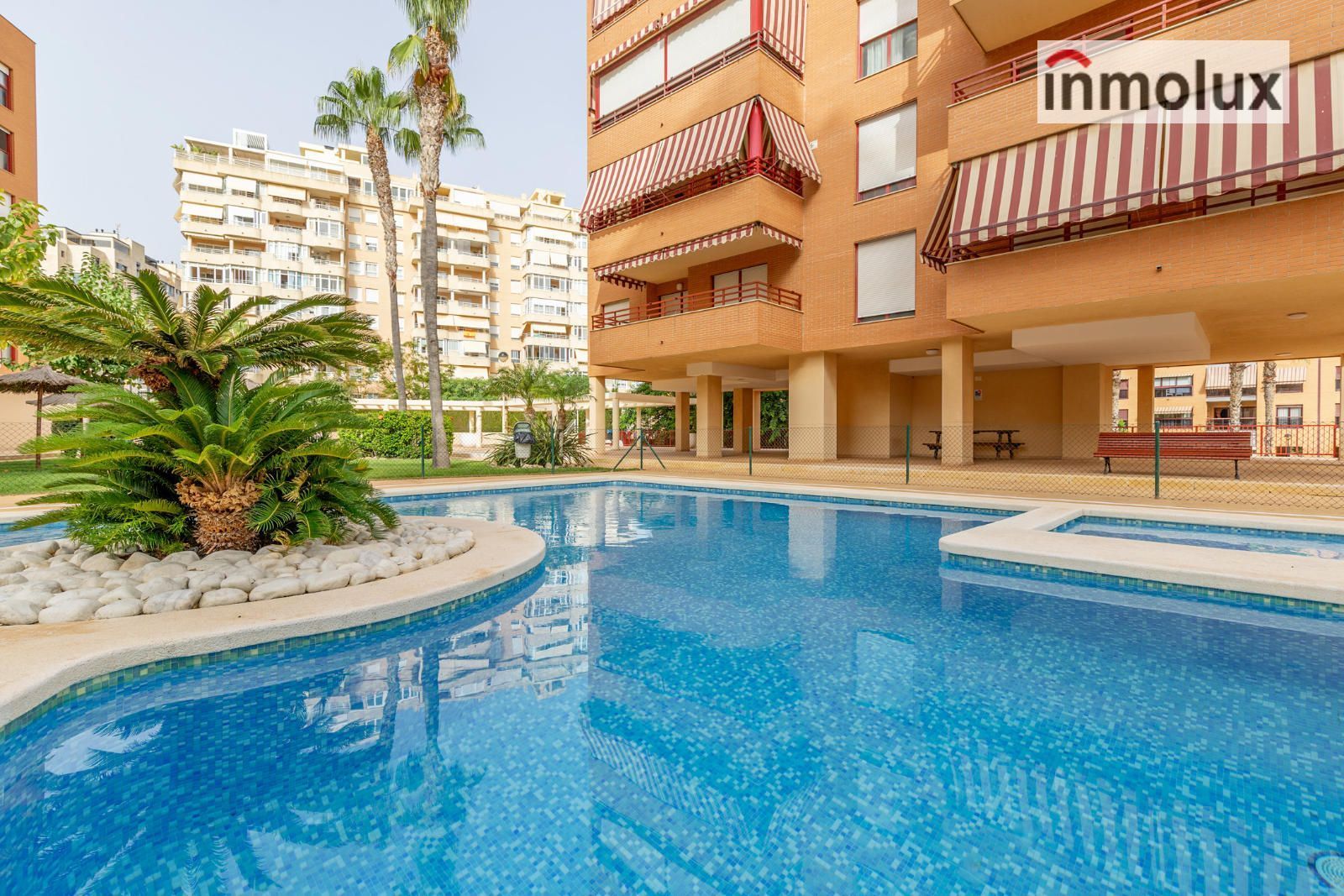 Swimming pool of Flat to rent in Alicante / Alacant  with Terrace, Swimming Pool and Community pool