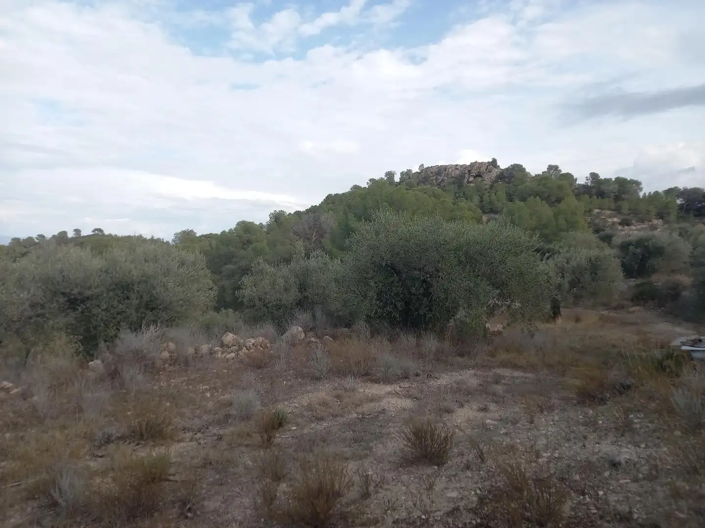 Rural land for sale in Benissanet, imagen 19