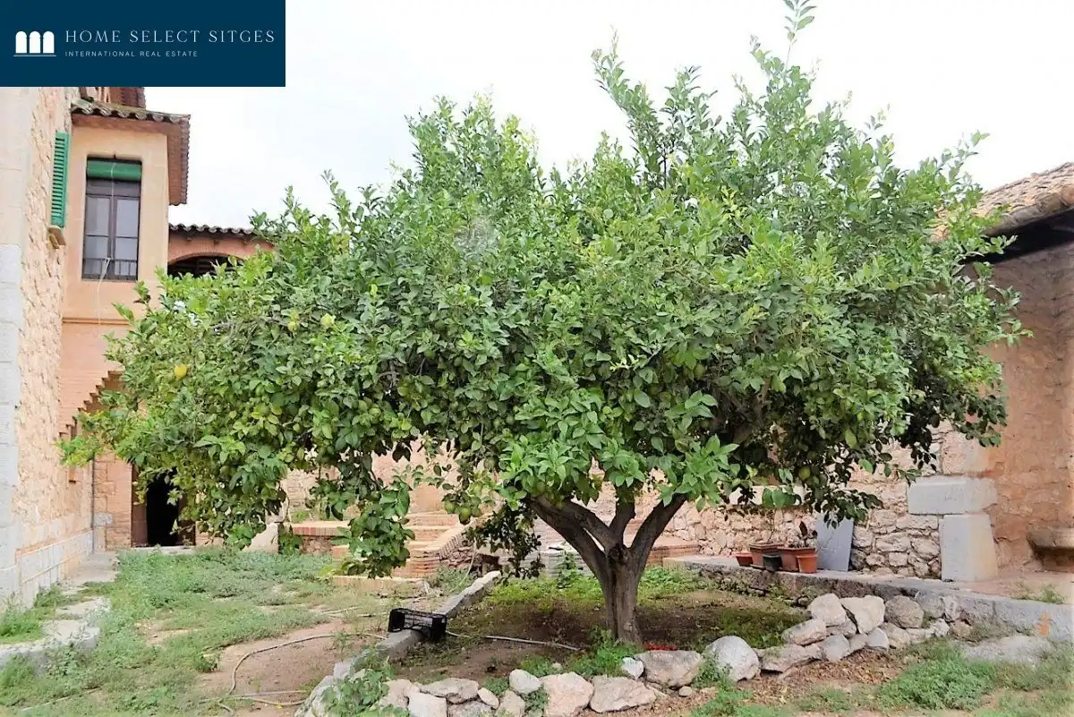 Casa rústica con terraza en venta en Vallpineda - Rocamar, imagen 13