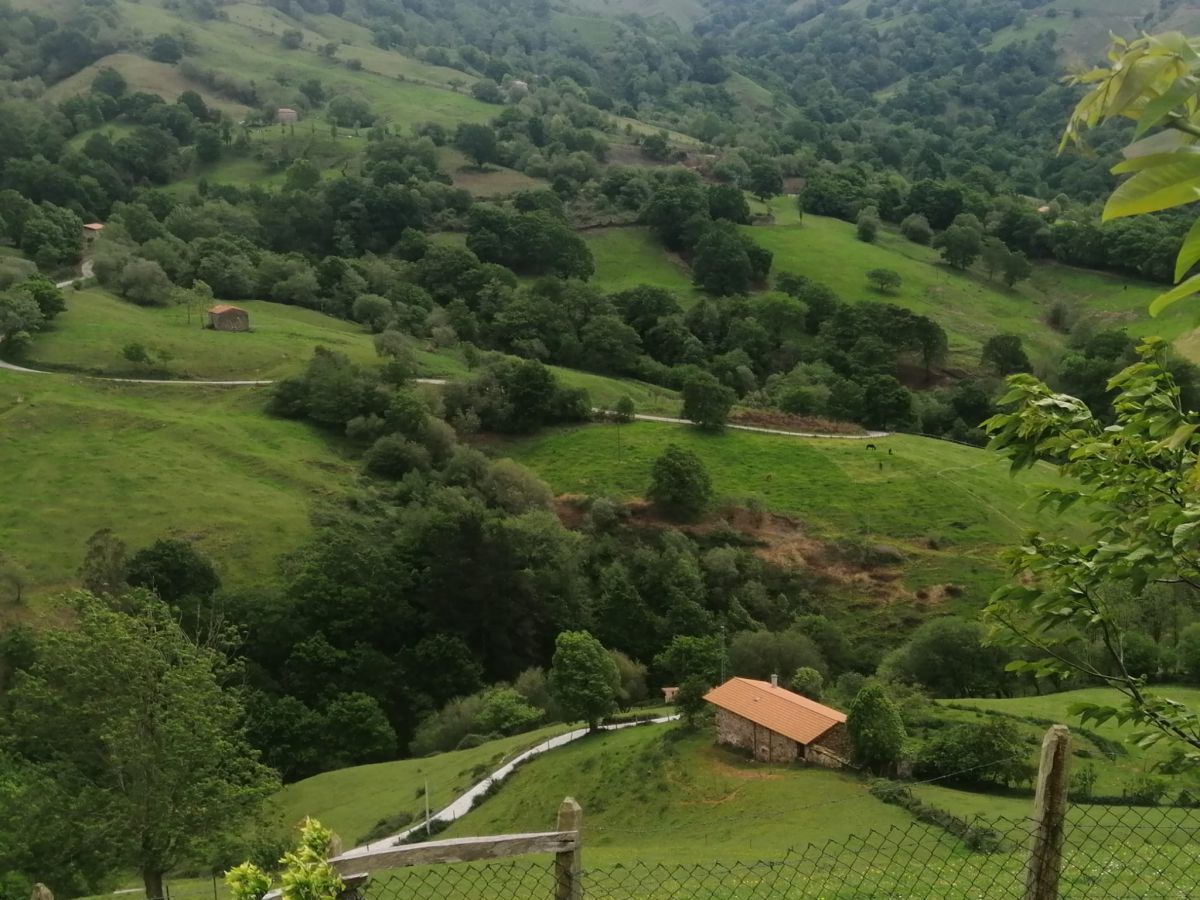Vista exterior de Casa o xalet en venda en Saro