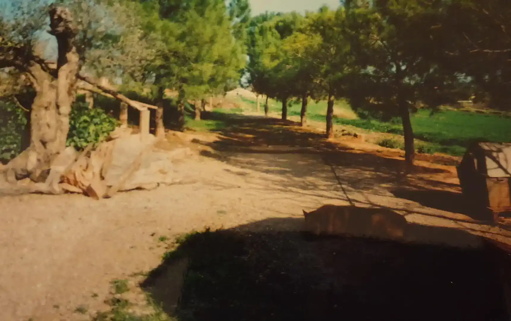 Terreno en venta en Manresa