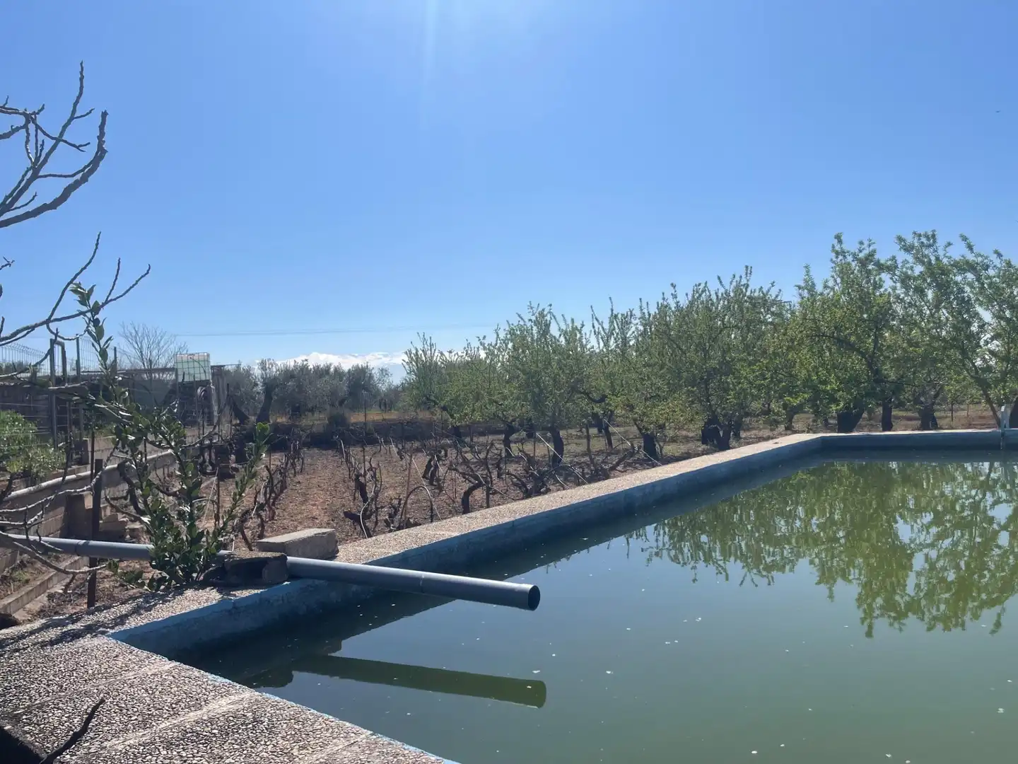 Piscina de Finca rústica en venda en Albolote amb Piscina