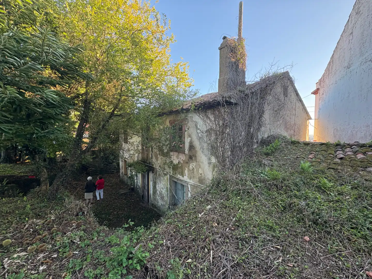 Vista exterior de Casa o chalet en venta en Neda con Jardín privado