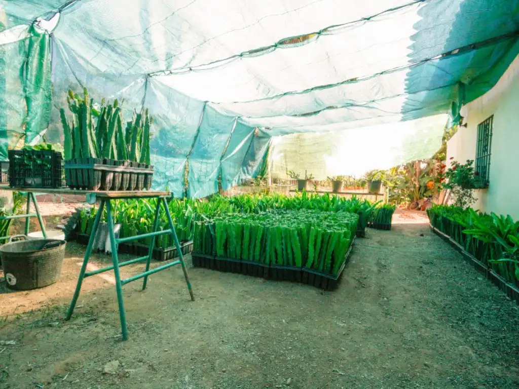 Garden of Houses for sale in Monda
