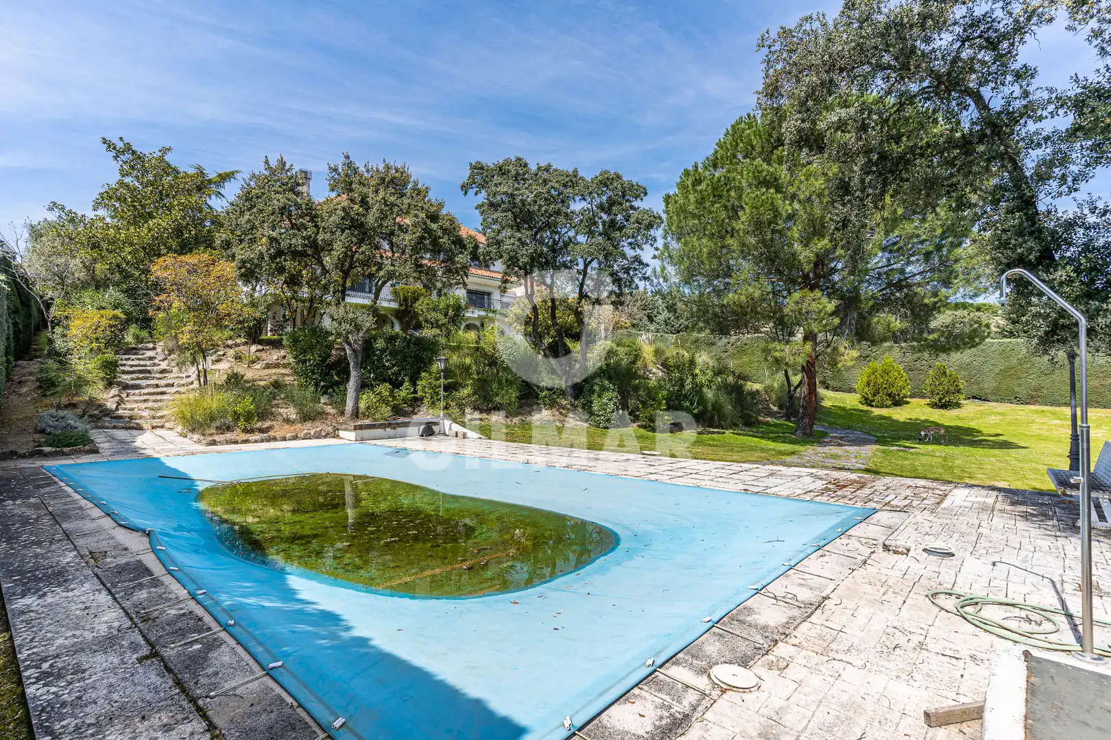 Jardí de Casa o xalet en venda en Las Rozas de Madrid amb Aire condicionat, Calefacció i Jardí privat