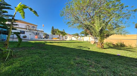 Photo 4 of Houses for sale in Camino Betis, 2, Rinconada, La Rinconada