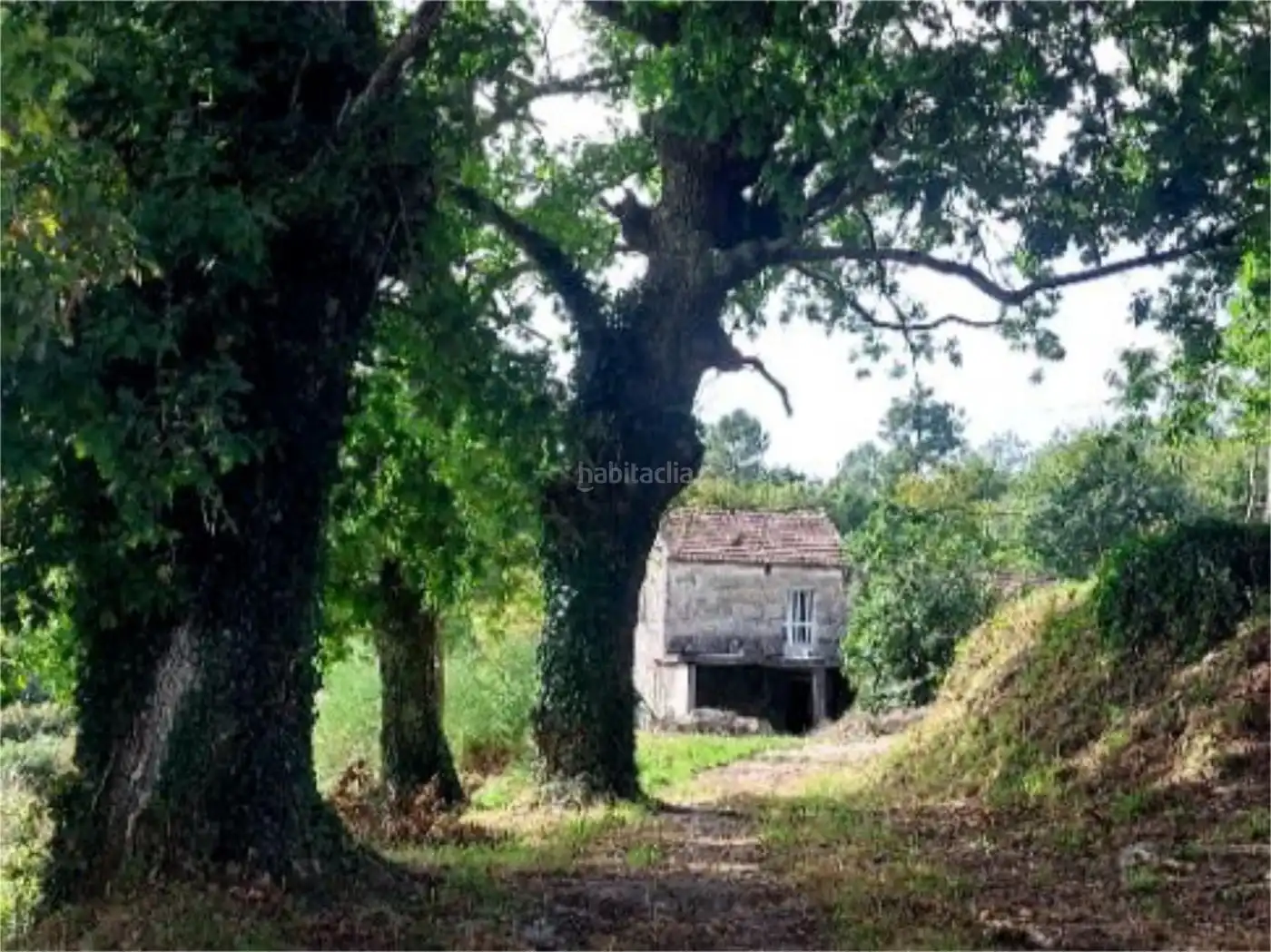 Casa en venda a Aldea Madarnas 4