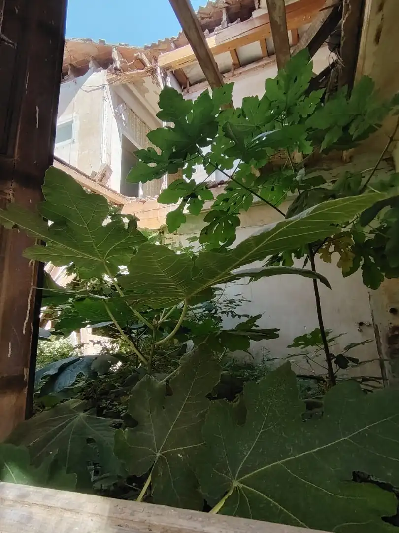 Casa en venda a Santa Bàrbara, imagen 8