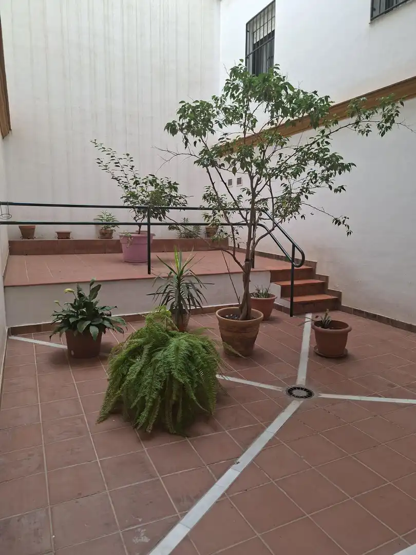 Appartement avec terrasse à louer à CARRANZA, imagen 5