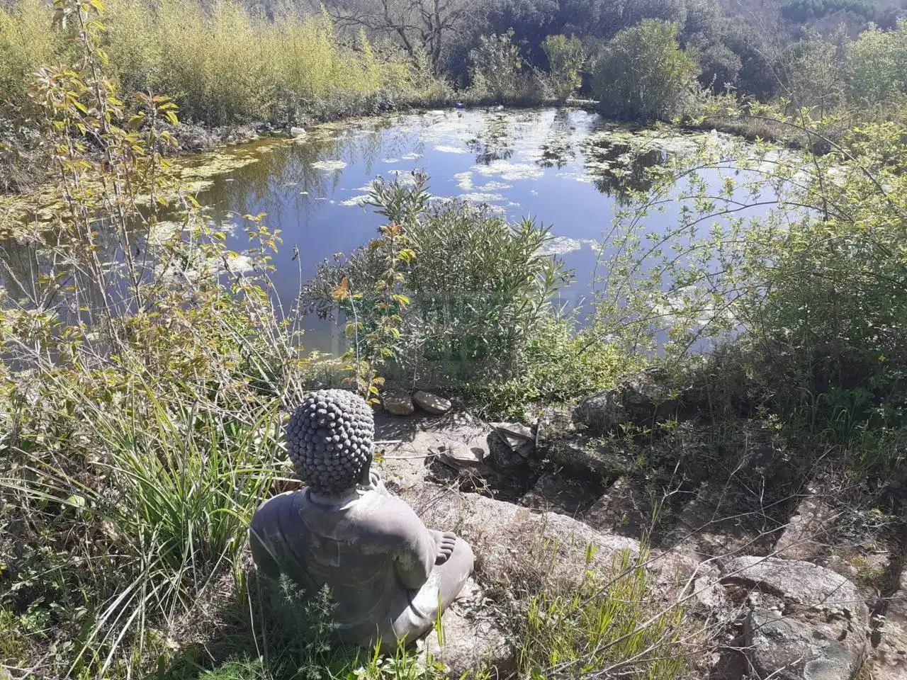Casa rústica amb jardí en venda a Riudarenes, imagen 3