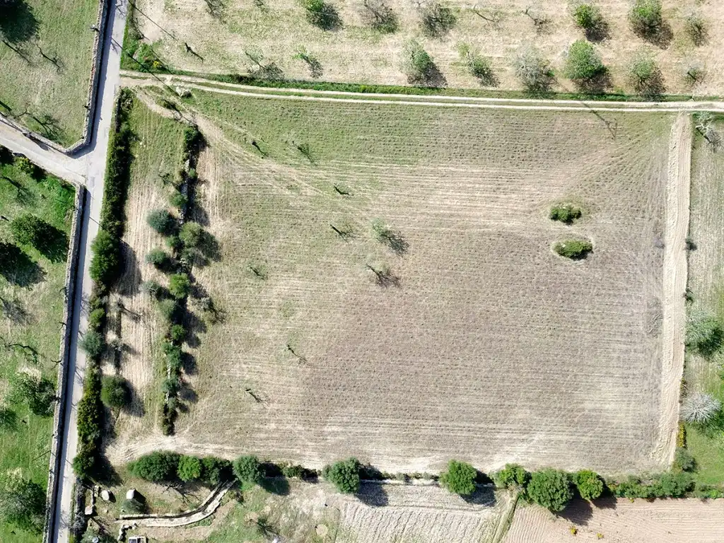 Rustikales Grundstück zum Verkauf in Sineu, imagen 10