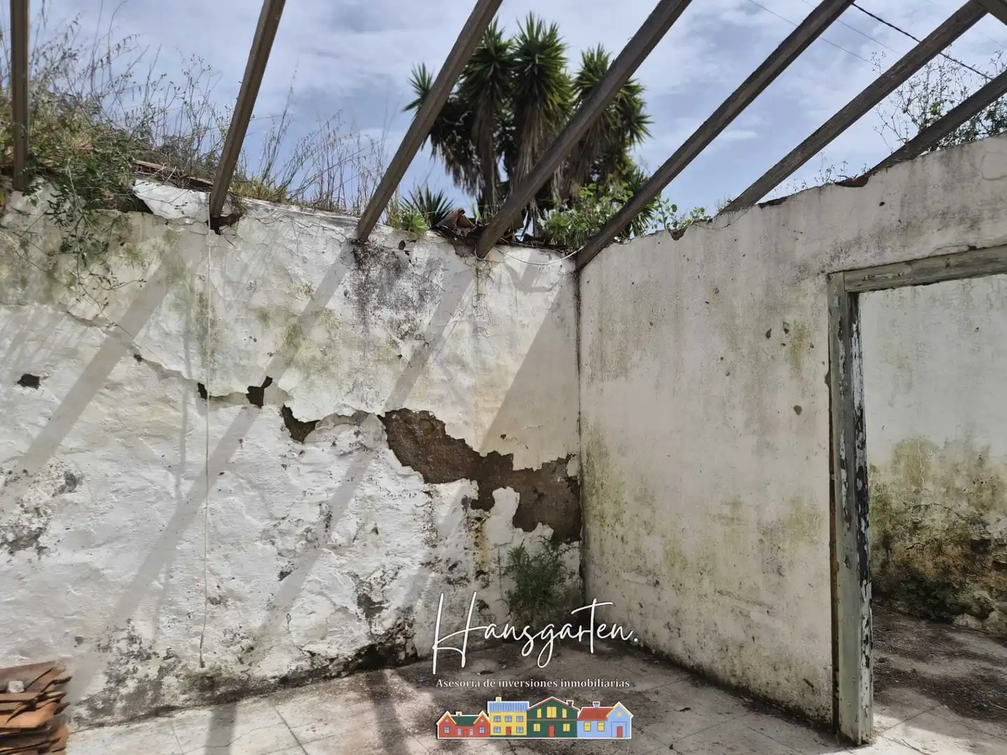 Garden of Houses for sale in Teror  with Private garden