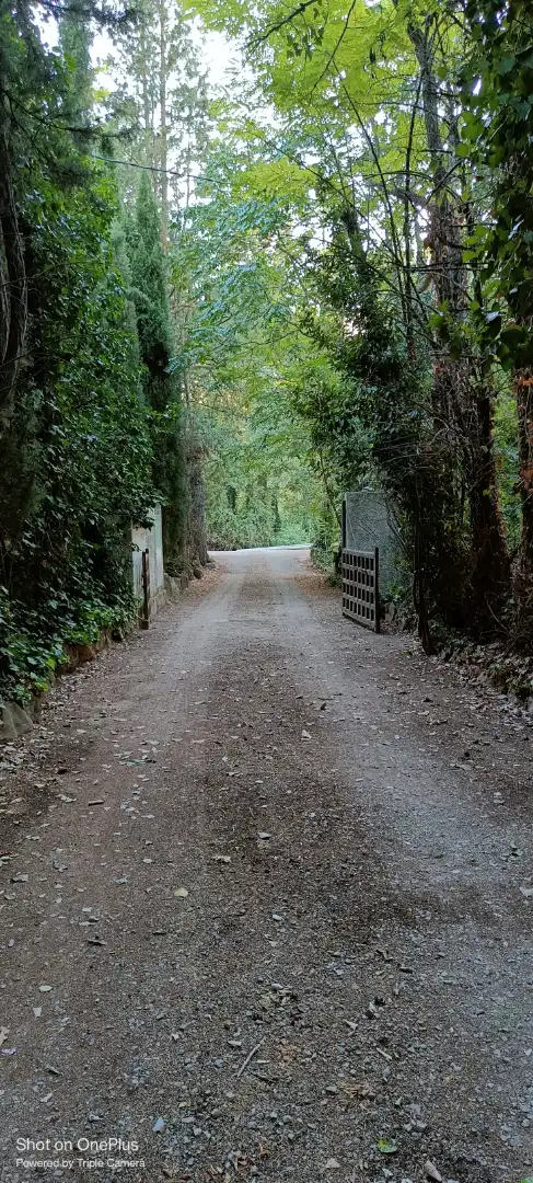 Xalet en venda a Calle Diseminado, imagen 48