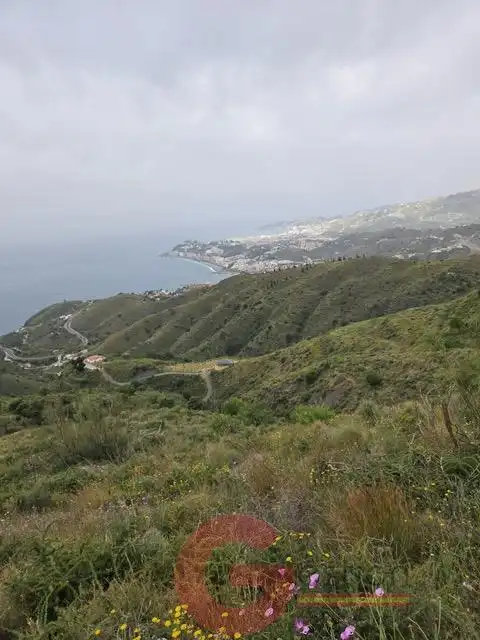 Vista exterior de Finca rústica en venta en Salobreña