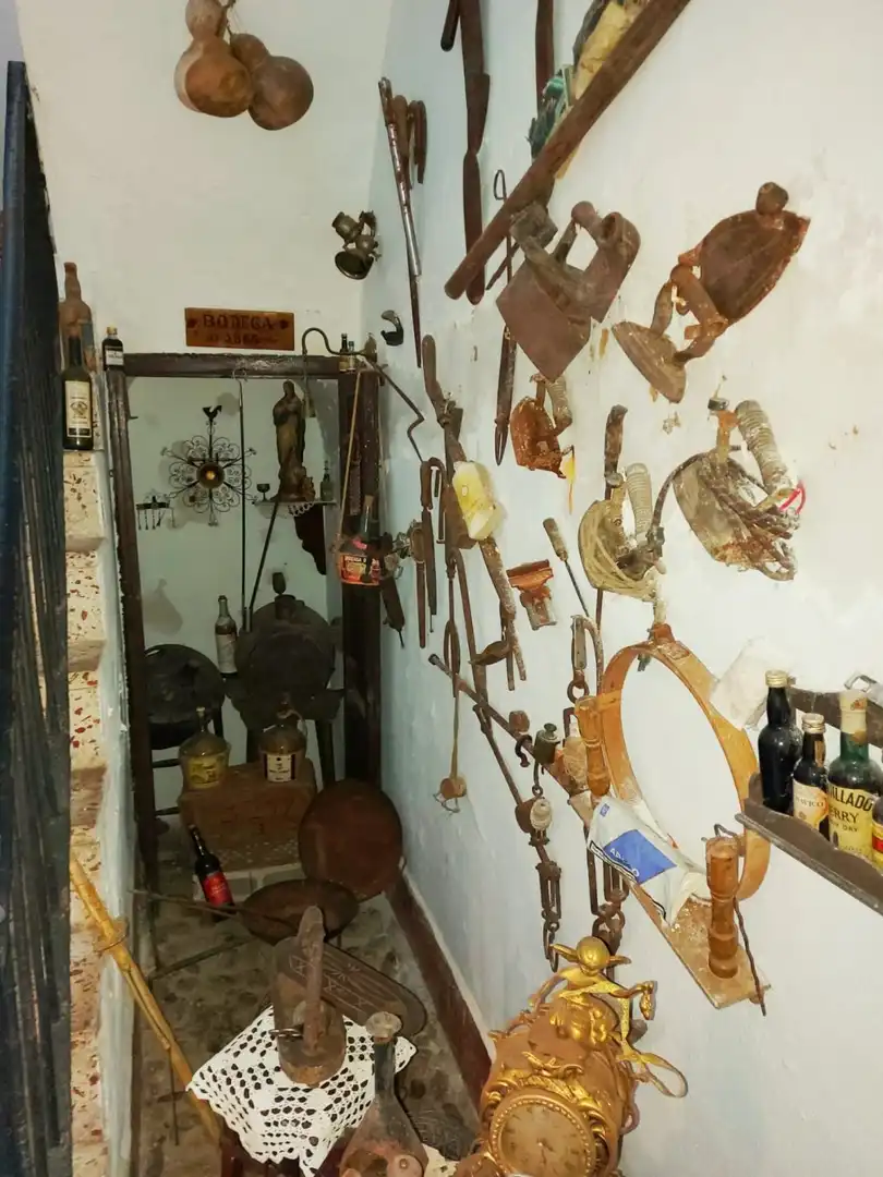 Maison à vendre à Centro, imagen 11