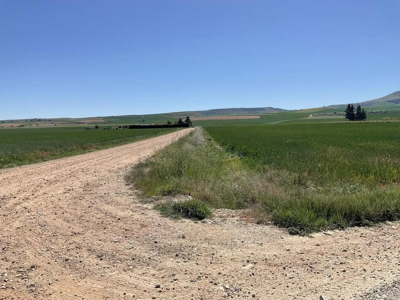 Terreny rústic en venda a Santo Domingo de la Calzada, imagen 14