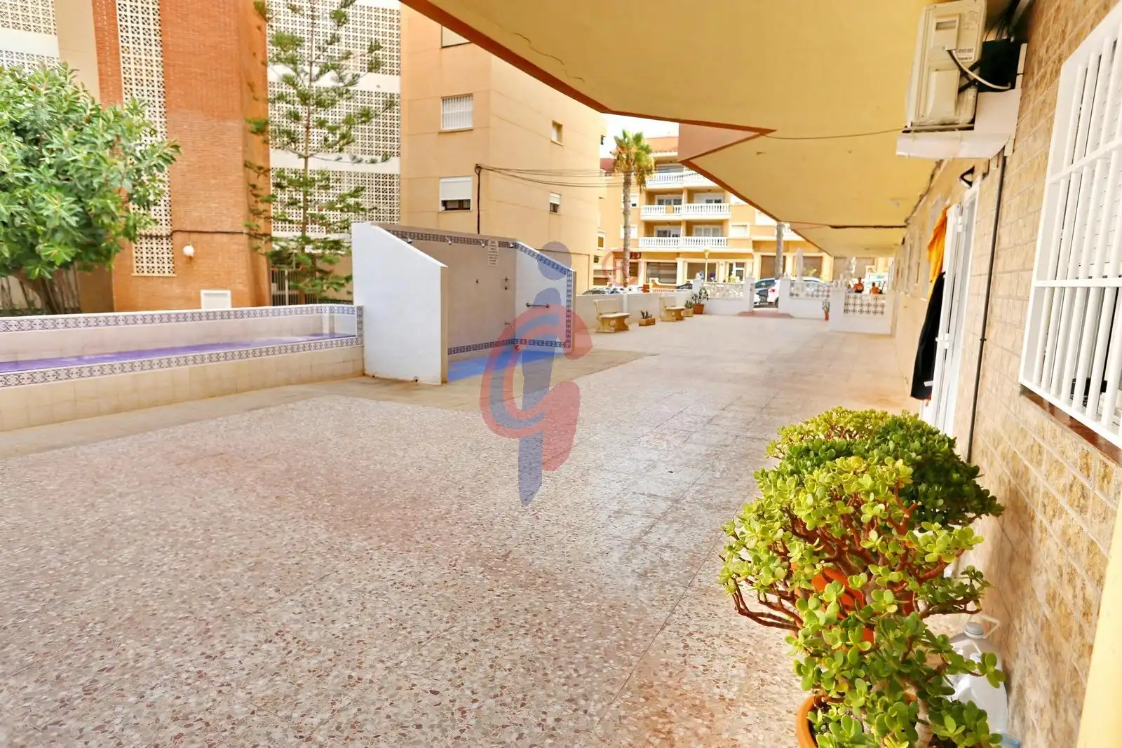 Exterior view of Apartments for sale in Guardamar del Segura  with Terrace, Storage room and Furnished