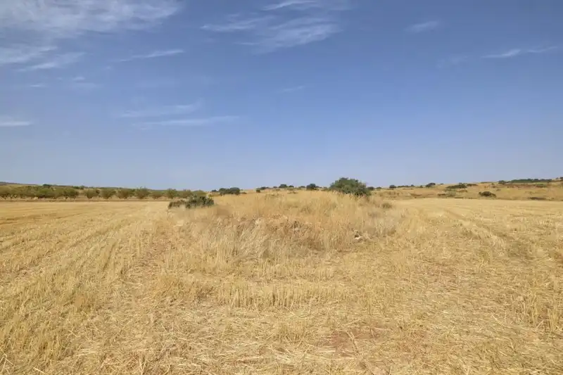 Terreni e lotti in vendita a Padul, imagen 20