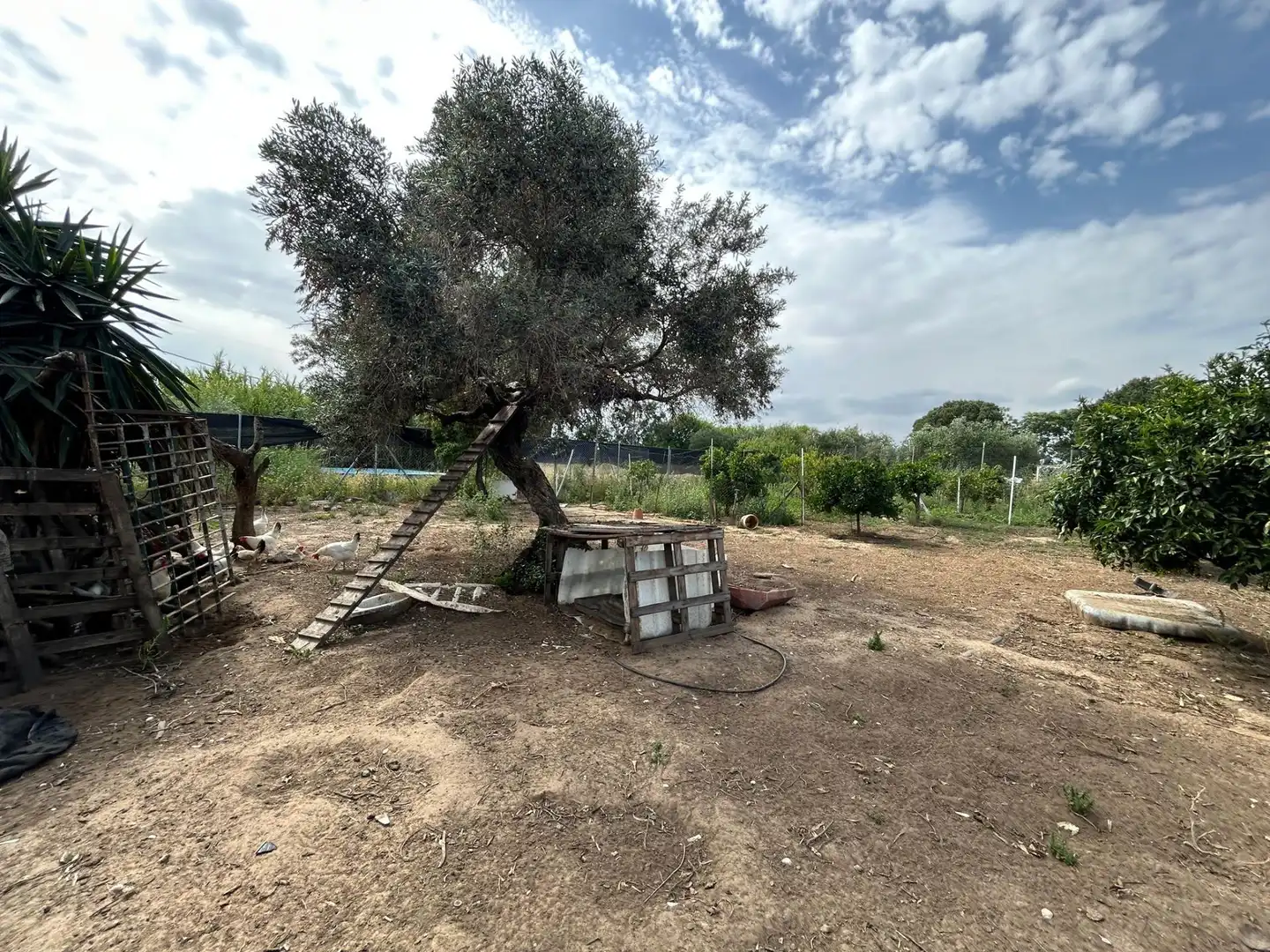 Finca rústica en venta en Utrera