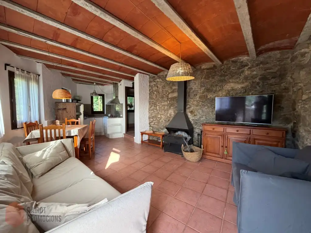 Sala d'estar de Casa o xalet de lloguer en Vilallonga de Ter