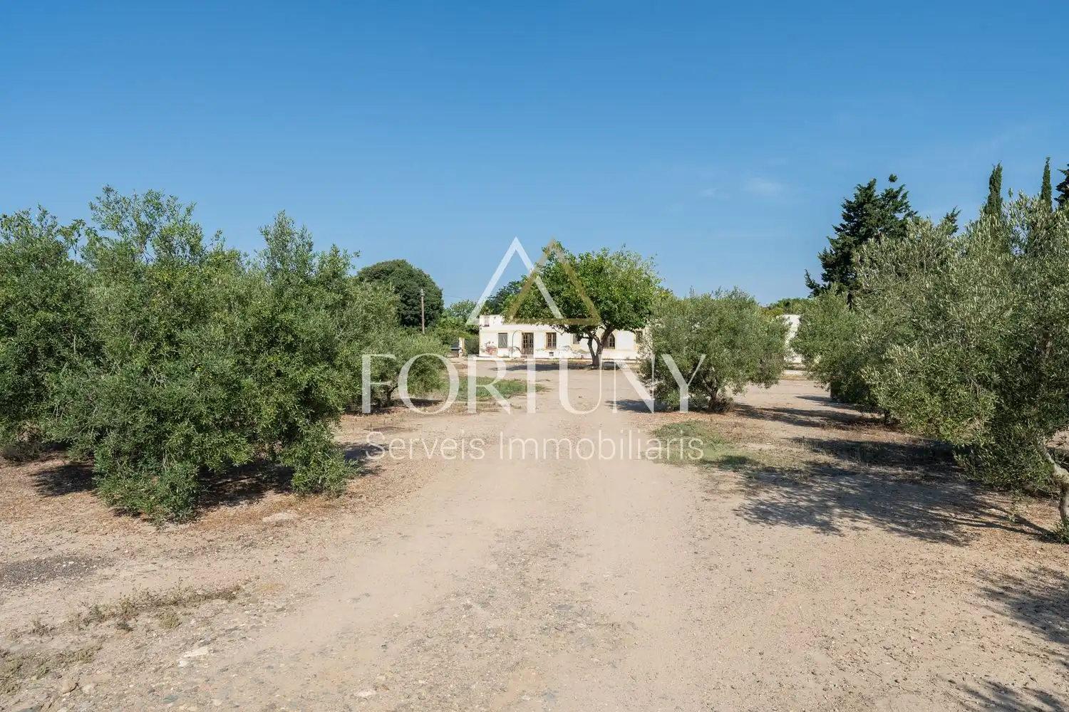 House with pool for sale in Riudoms, imagen 41